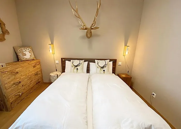 Apartman Jaegerstil, 70m2, Zentral, 1 Parkplatz - Re31 St. Moritz